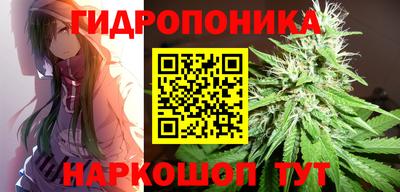 сатива Апшеронск