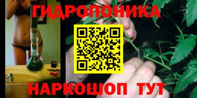 сатива Апшеронск