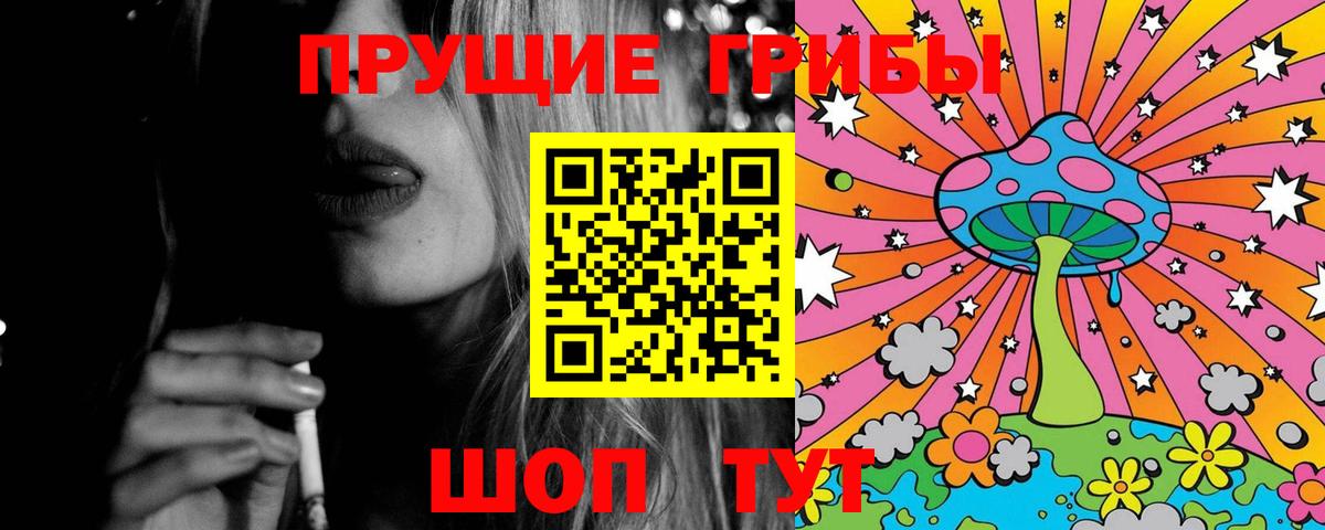 Галлюциногенные грибы Cubensis  Галлюциногенные грибы прущие грибы  Вход с VPN  Апрелевка 